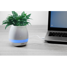 Беспроводная колонка melodyPot, белая