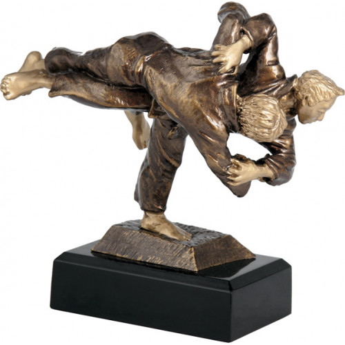 Фигурка литая Дзюдо RFST2003/BR 17см