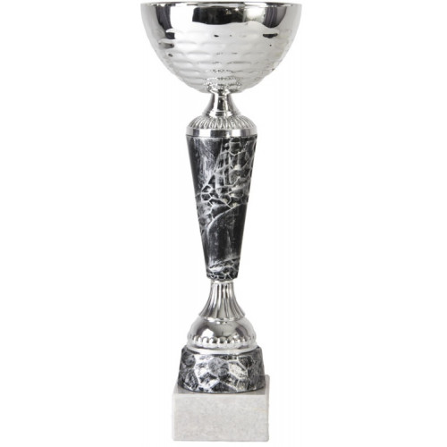 Кубок 7033C (30,5см) D-100