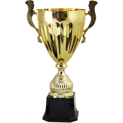 Кубок 3537E (25 см) D-100